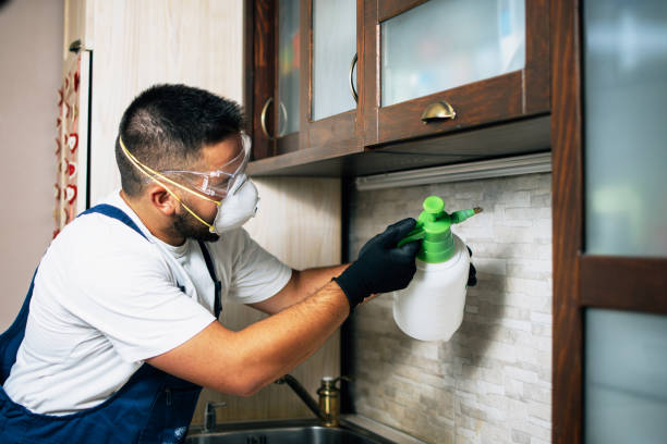 Best Wasp Removal Services  in Moraine, OH