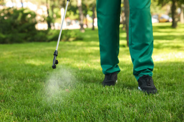 Best Exterminator Services  in Moraine, OH