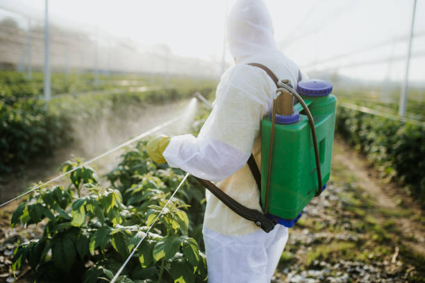 Best Pest Prevention Services  in Moraine, OH